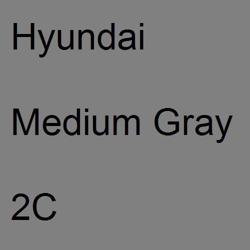 Hyundai, Medium Gray, 2C.